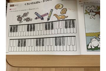 ５歳でこの正確な絵力