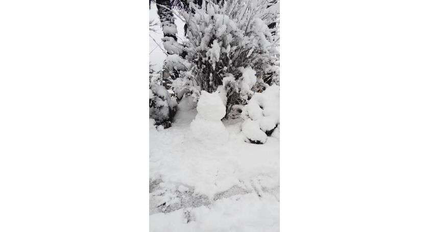 久しぶりの雪だるま